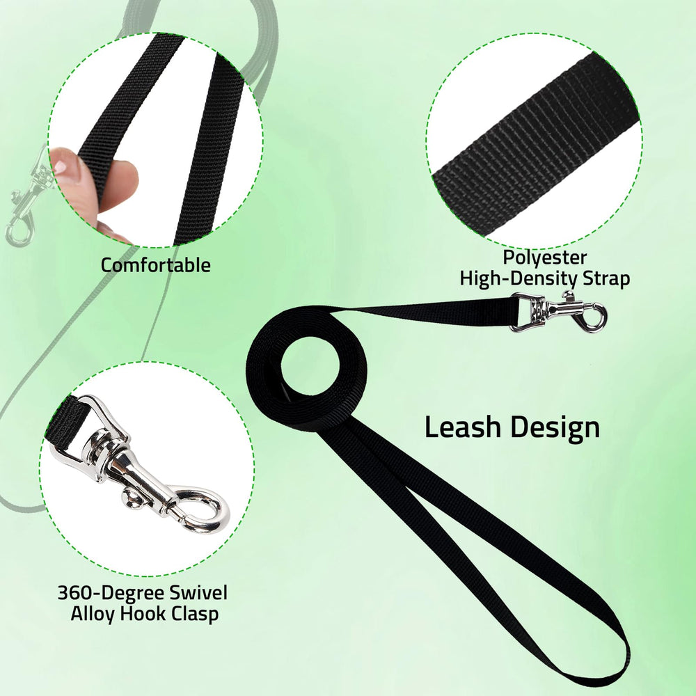 Yesito training setup reduces mess during guided walks in parks
