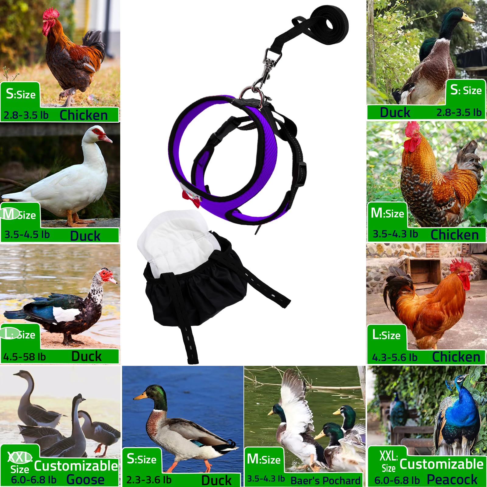 Yesito outdoor-walking setup ideal for park or garden use
