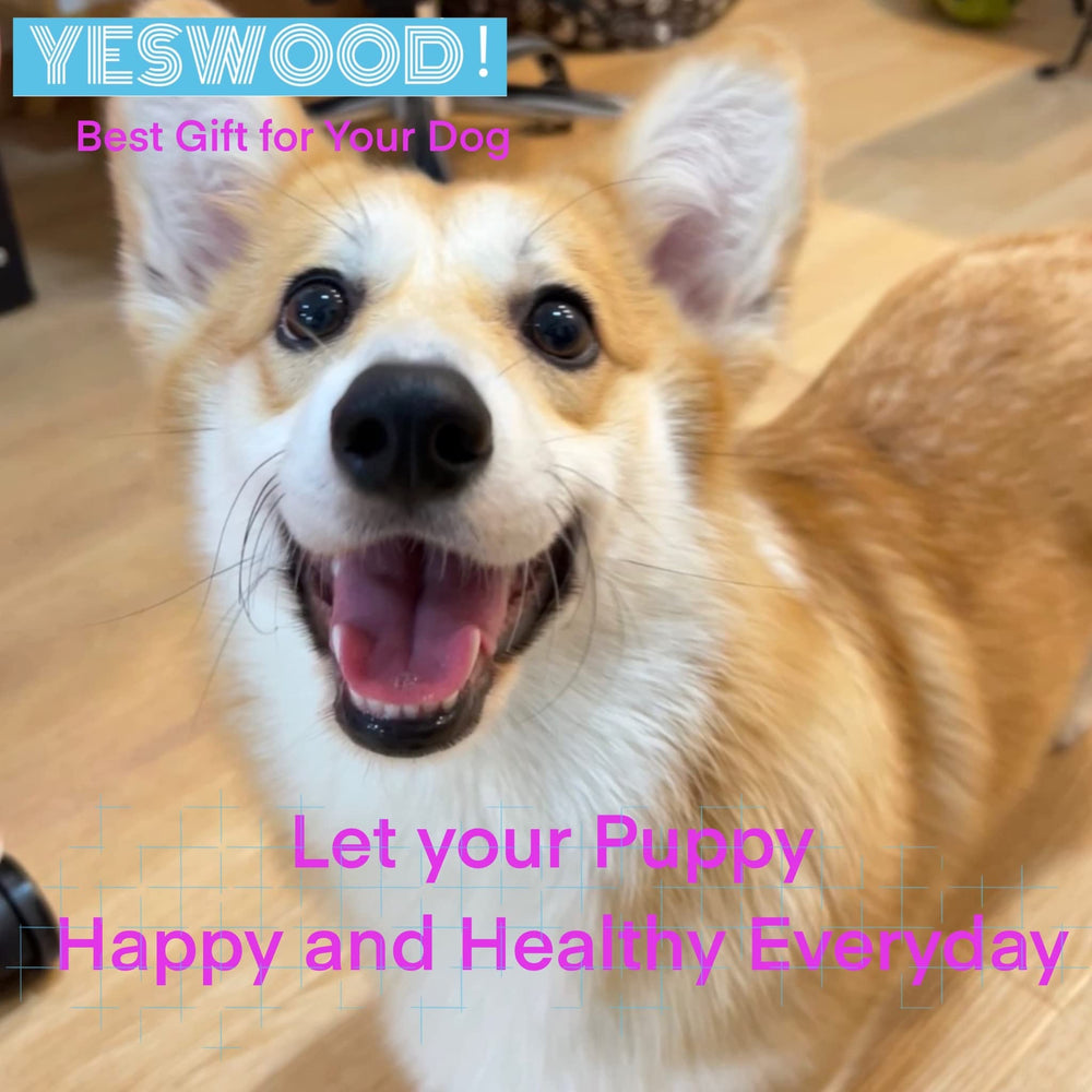 YesWood safe non-toxic materials for supervised, energetic play.