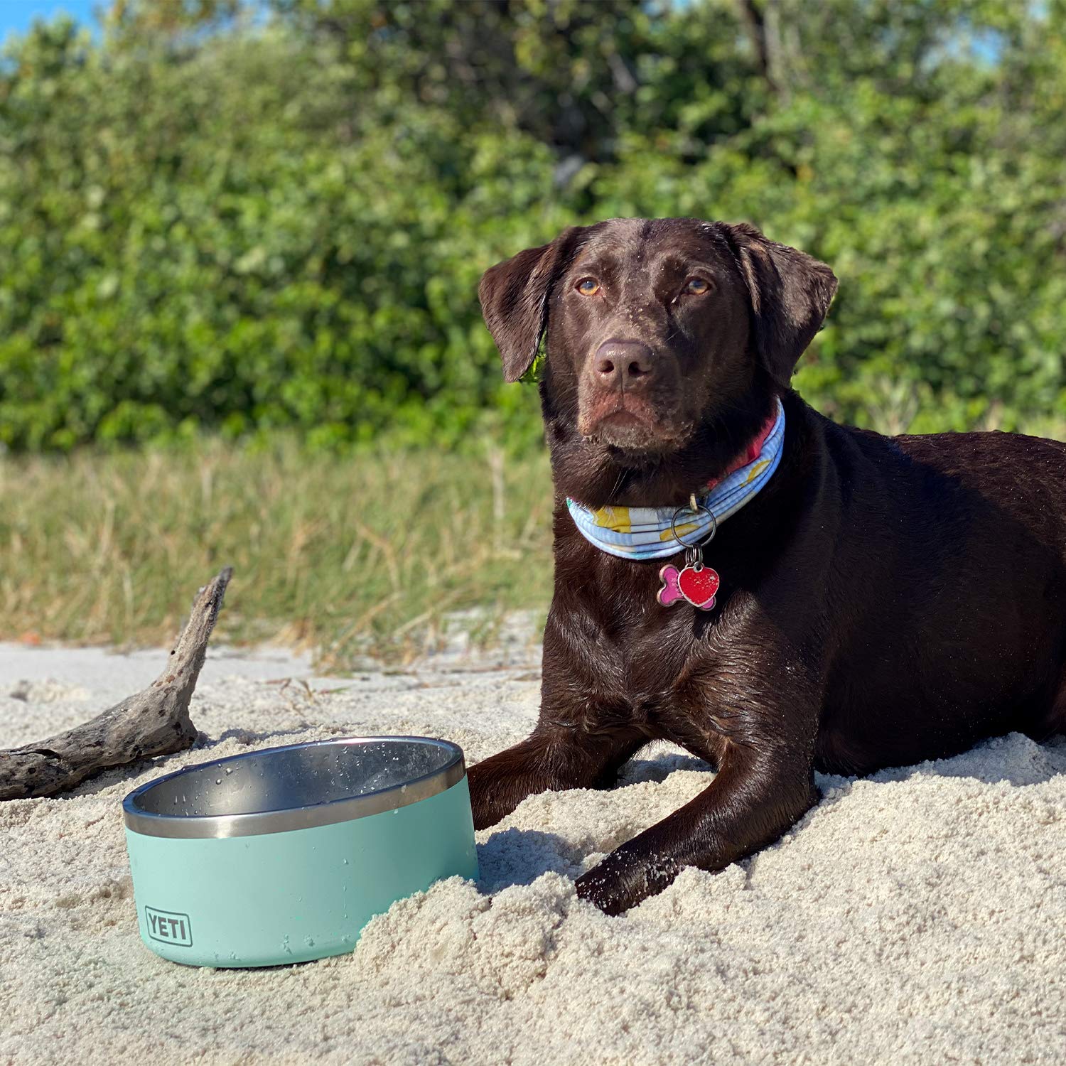 YETI Boomer 8 is dishwasher safe for easy cleanup after meals.