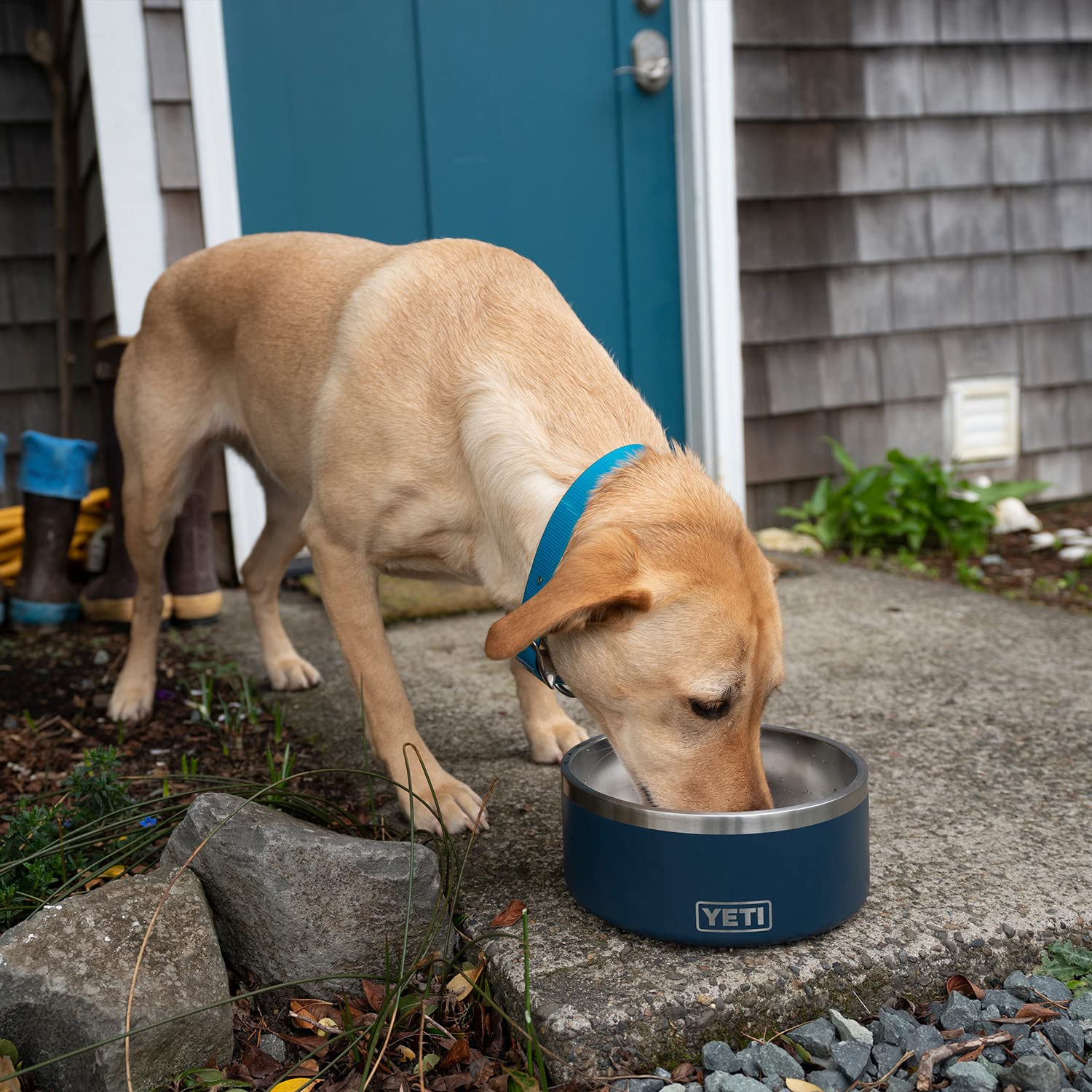 YETI Boomer 8 durable dog bowl built to withstand busy meals