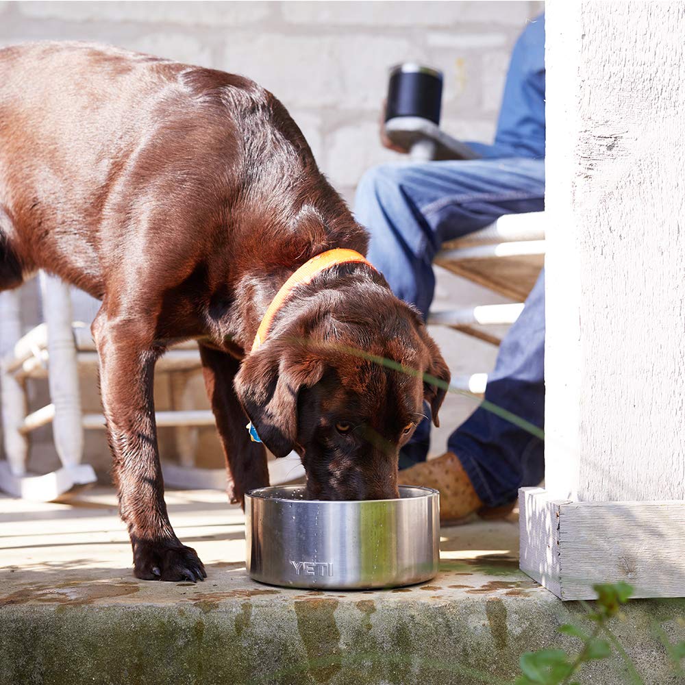 Boomer 8 suitable for kibble and water in daily use.