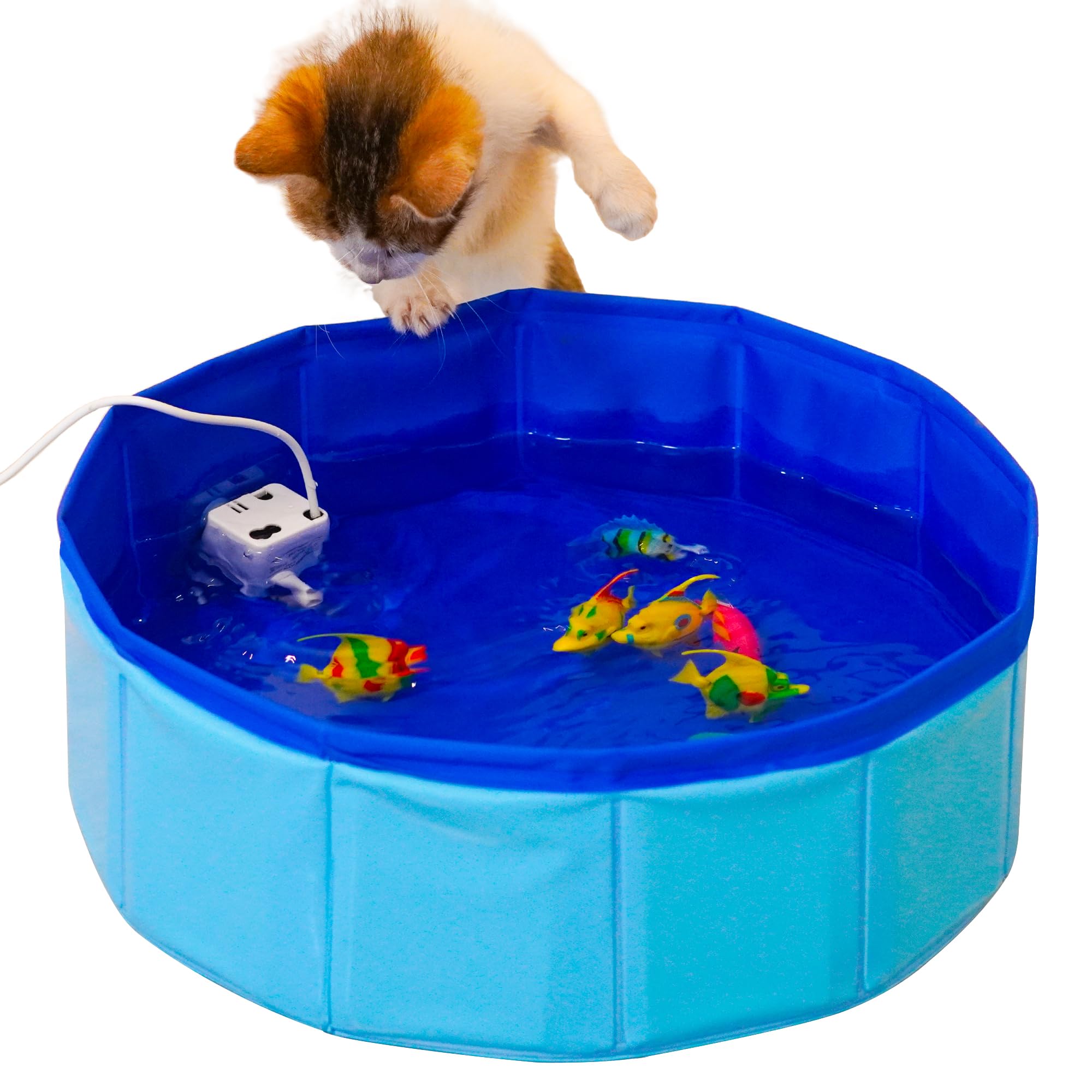 YeulYuuri cat pool with interactive fish for indoor play.