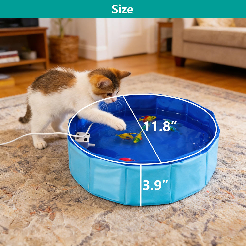 YeulYuuri setup with water and fish enables quick indoor play.