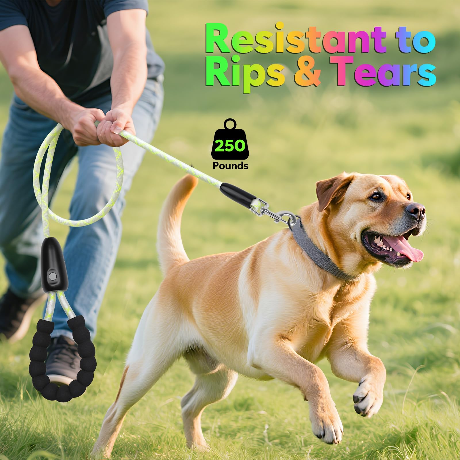 YFbrite heavy-duty clasp ensures durable, secure closure on active dogs.