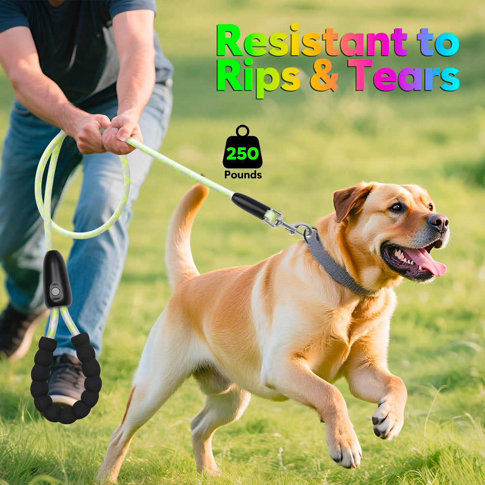 YFbrite heavy-duty clasp ensures durable, secure closure on active dogs.