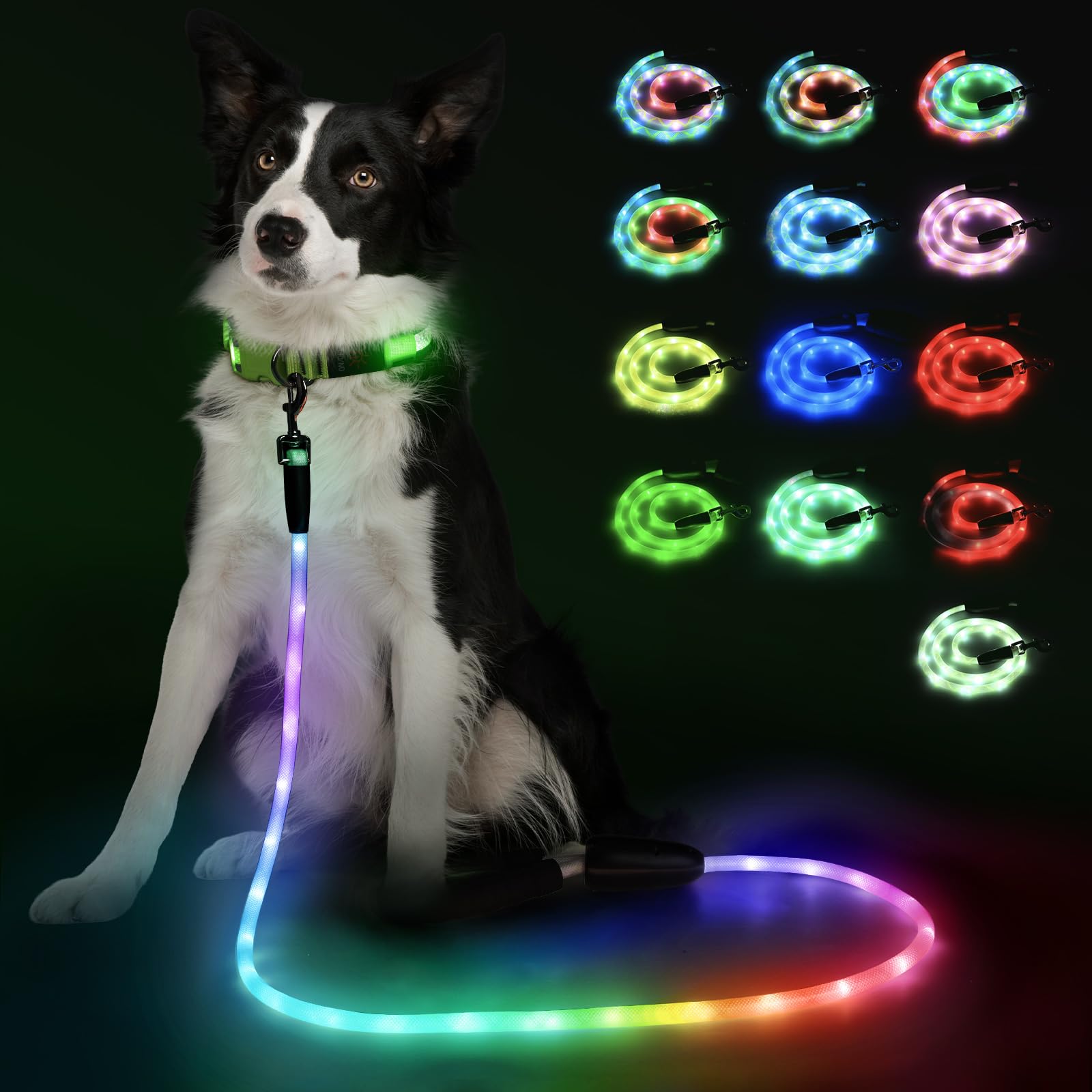 YFbrite light-up dog leash with LED strip for bright night-time visibility.