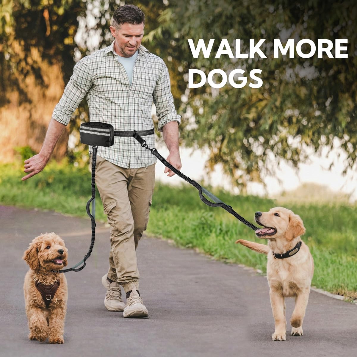 Yicostar compact option supports single-dog usage when needed