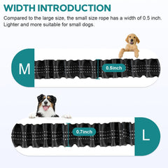 Yicostar dual-bungee leash absorbs pulls for smoother, less strenuous outings