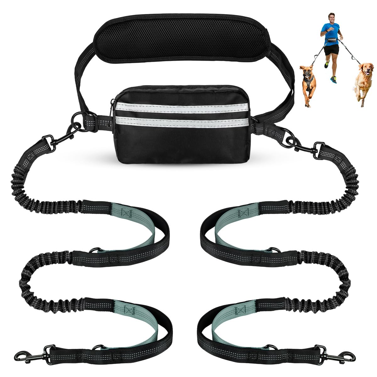 yicostar hands free two-dog leash showing dual sections for balanced control.