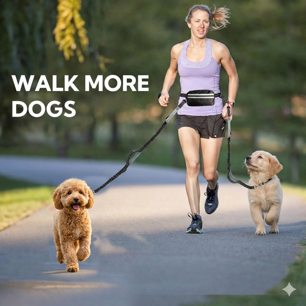 Yicostar lightweight yet durable design suits daily adventures with two dogs
