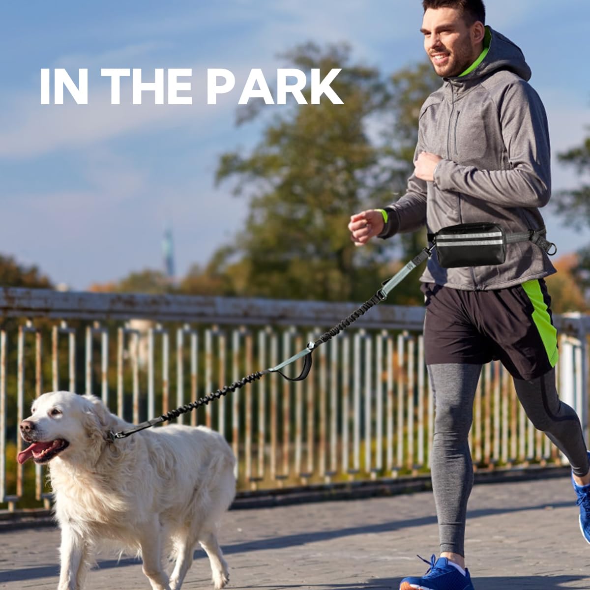 yicostar retractable leash with two-dog setup aids smooth walks.