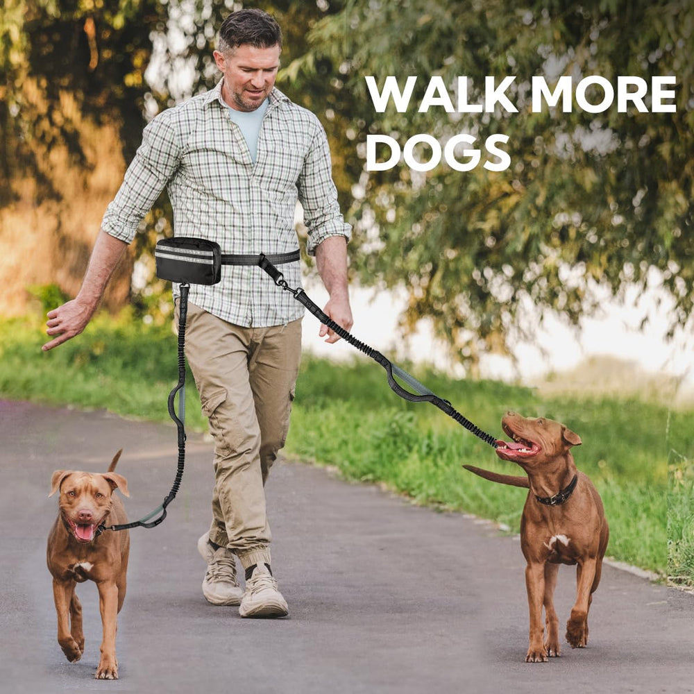 yicostar two-dog setup provides a secure connection for active dogs.