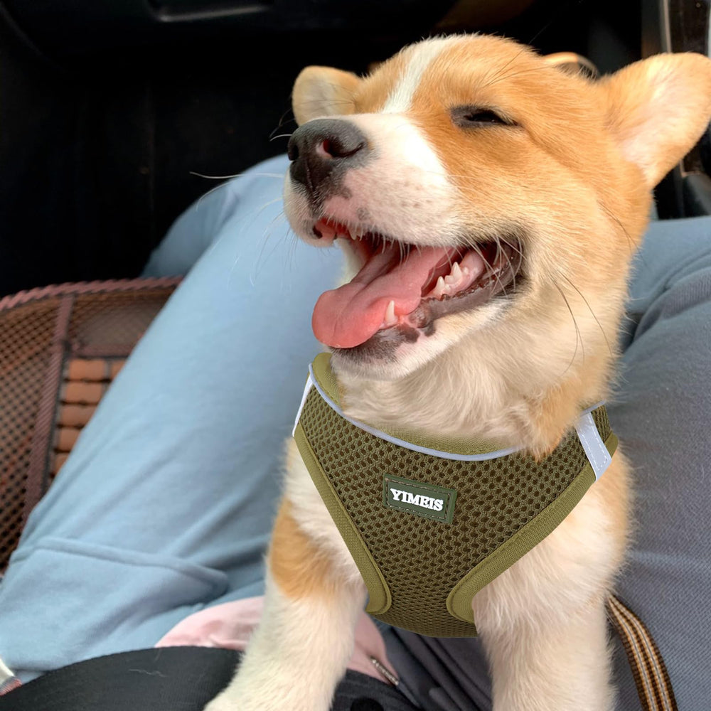 YIMEIS dog harness with breathable mesh for all-season comfort