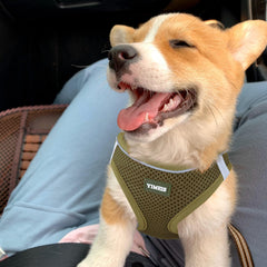 YIMEIS dog harness with breathable mesh for all-season comfort