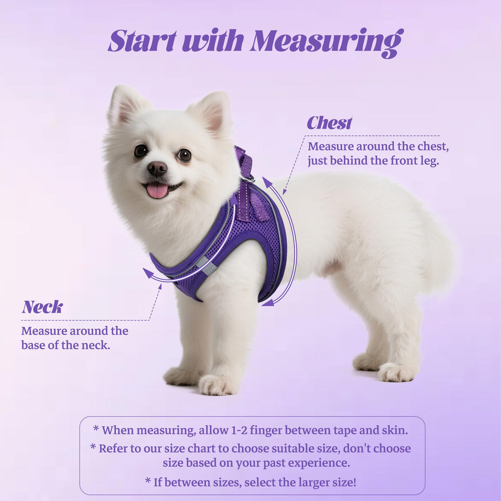 YIMEIS dog harness with 360-degree reflective trim purple for night visibility
