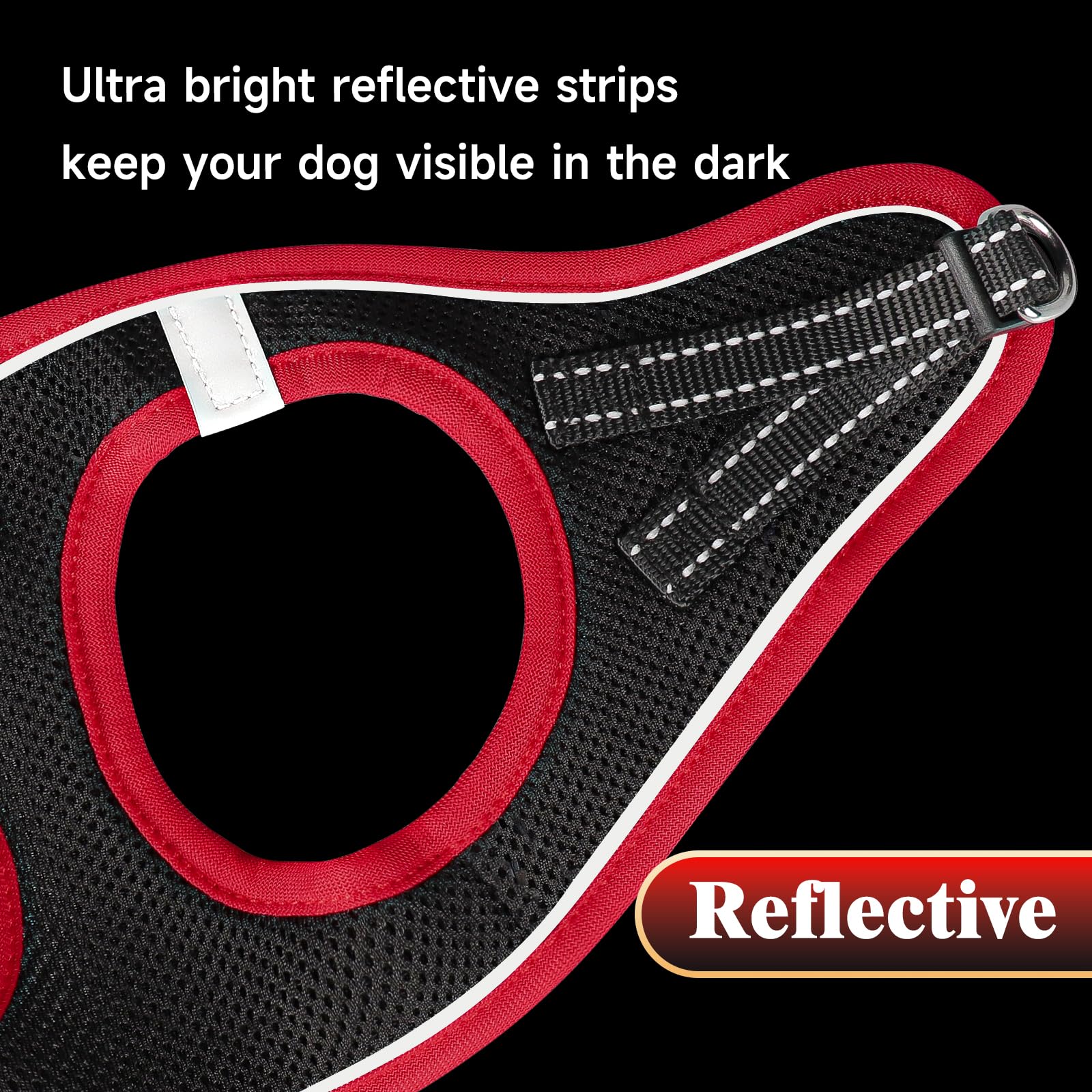 YIMEIS full set harness and leash for coordinated style