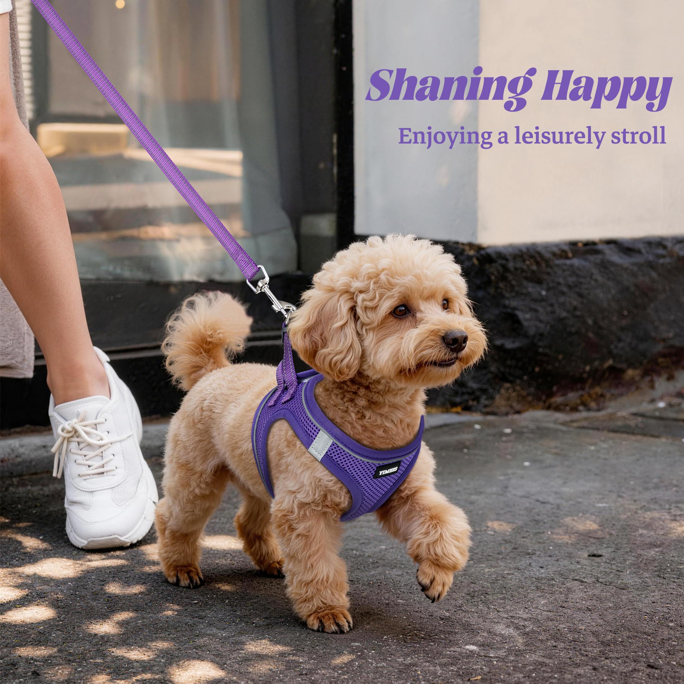 YIMEIS packaged harness-leash set in purple offers convenient value