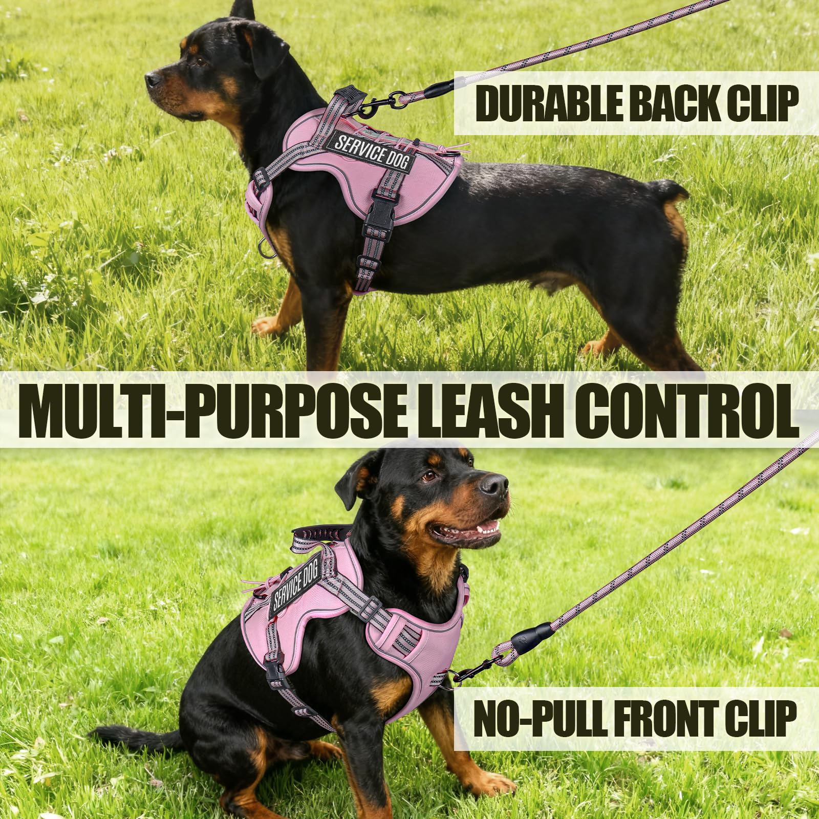 Vest with bright reflective webbing for nighttime safety.