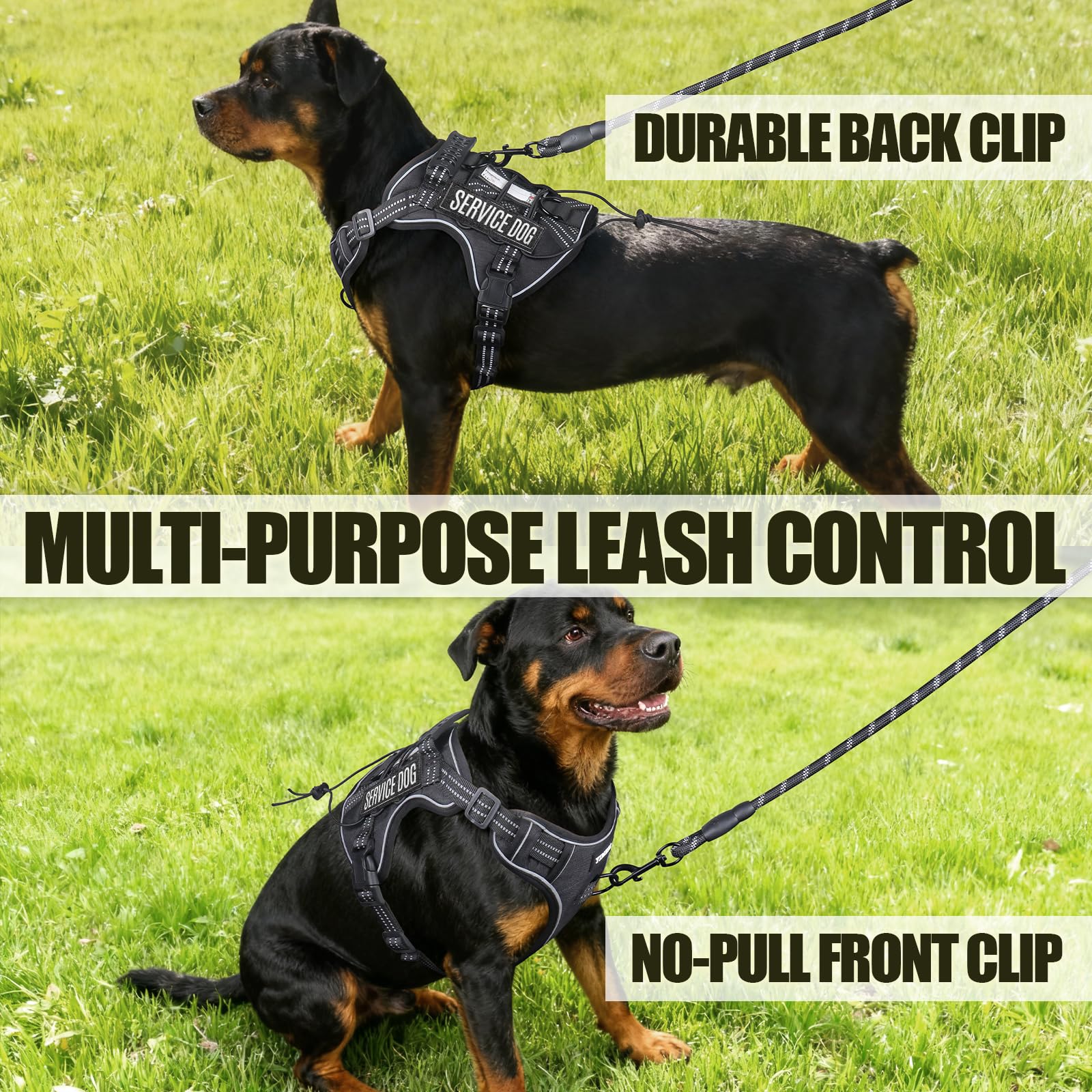 Yimeis harness with leash demonstrating easy control during walks.