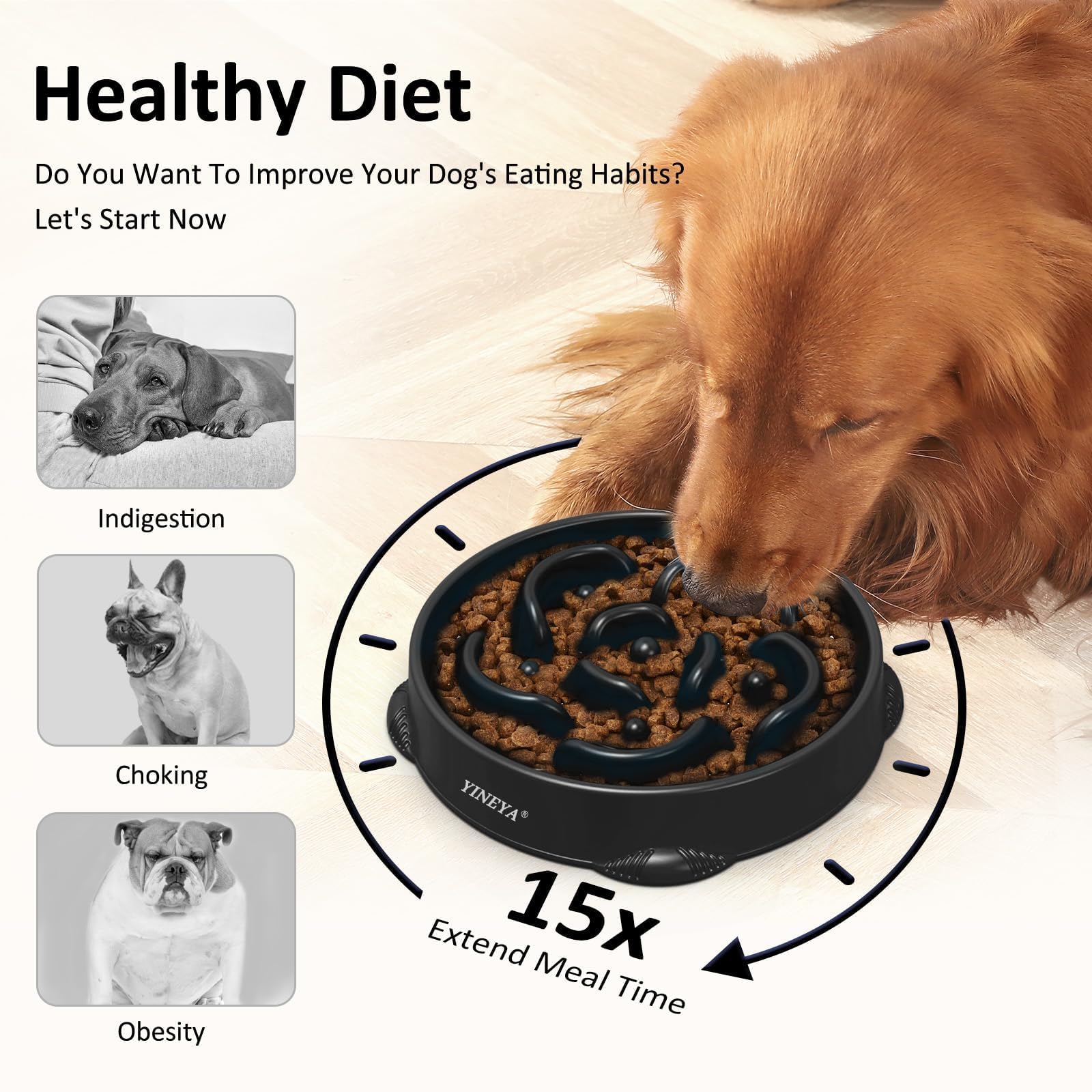 YINEYA raised dog bowl promotes comfortable, safe eating posture