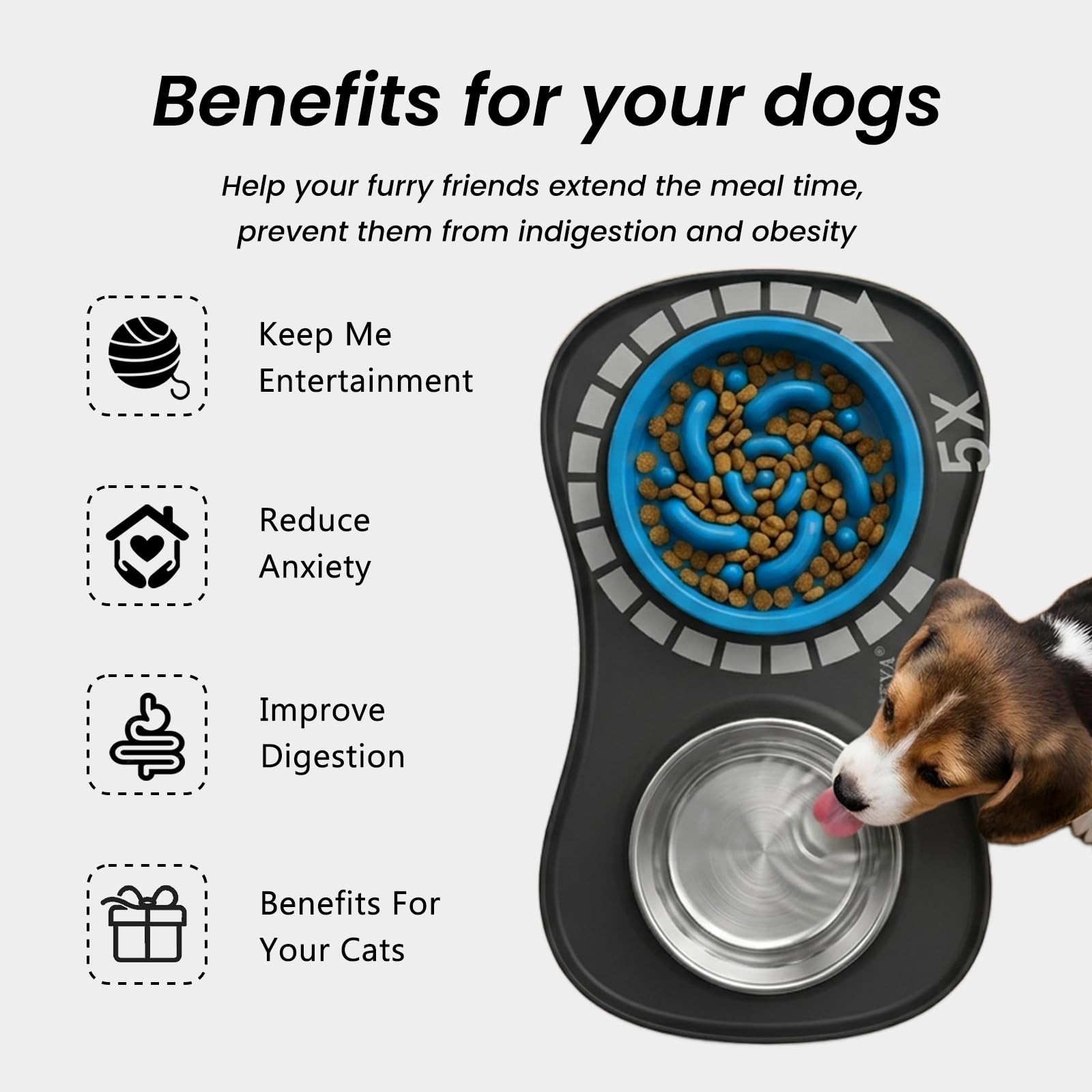 YINEYA stainless steel water bowl provides stable hydration during meals