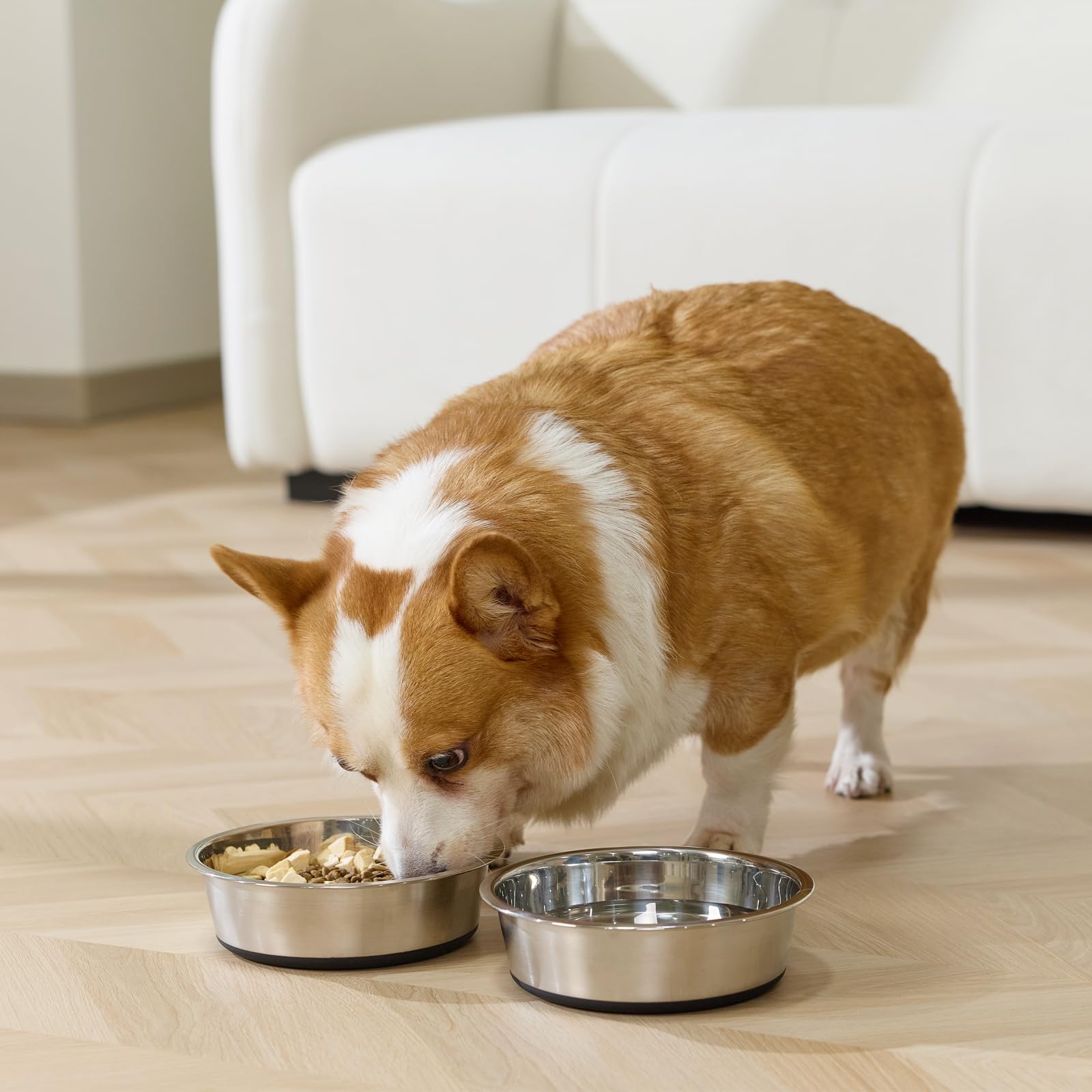 YINGFAN bowl in use during a dog's feeding time, stable and comfy.