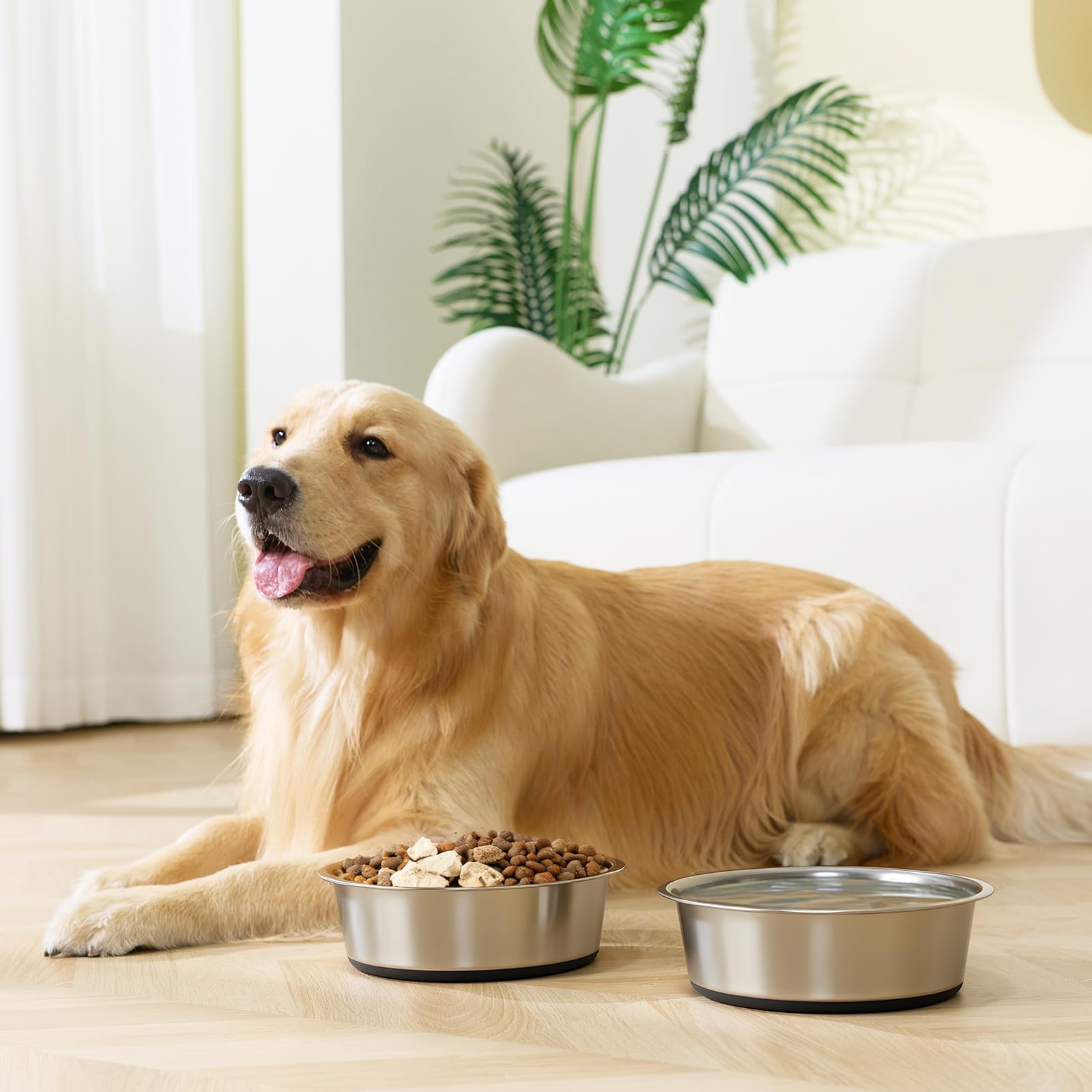 YINGFAN easy-clean dog bowls resist stains and odors.