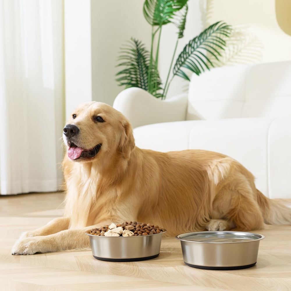 YINGFAN easy-clean dog bowls resist stains and odors.