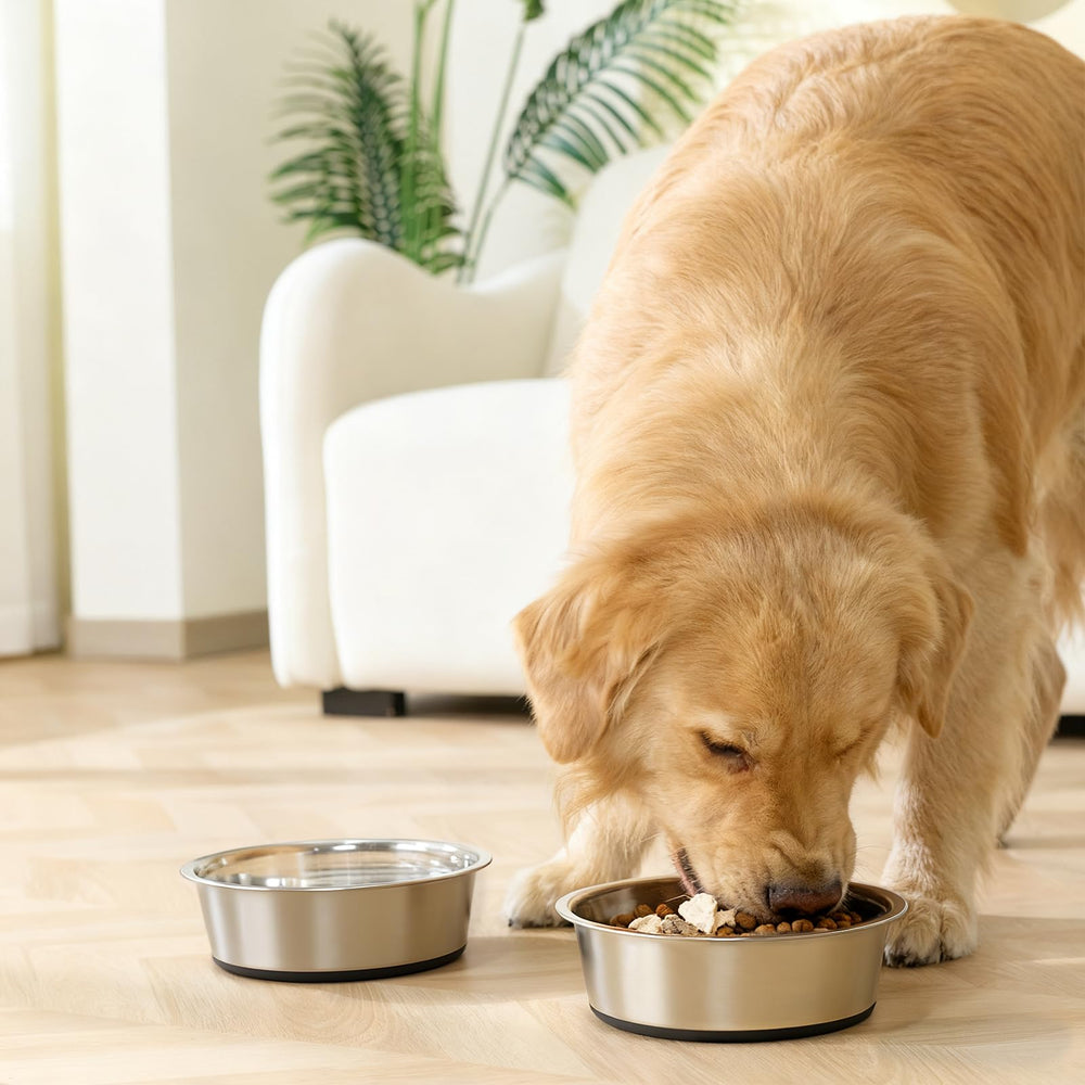 YINGFAN multi-functional bowl for food and water in one set.
