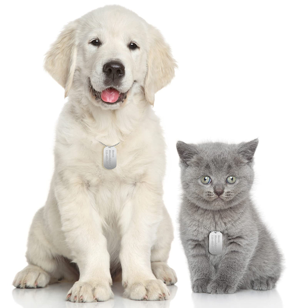 Yinkin pet id pendant on collar for clear identification.