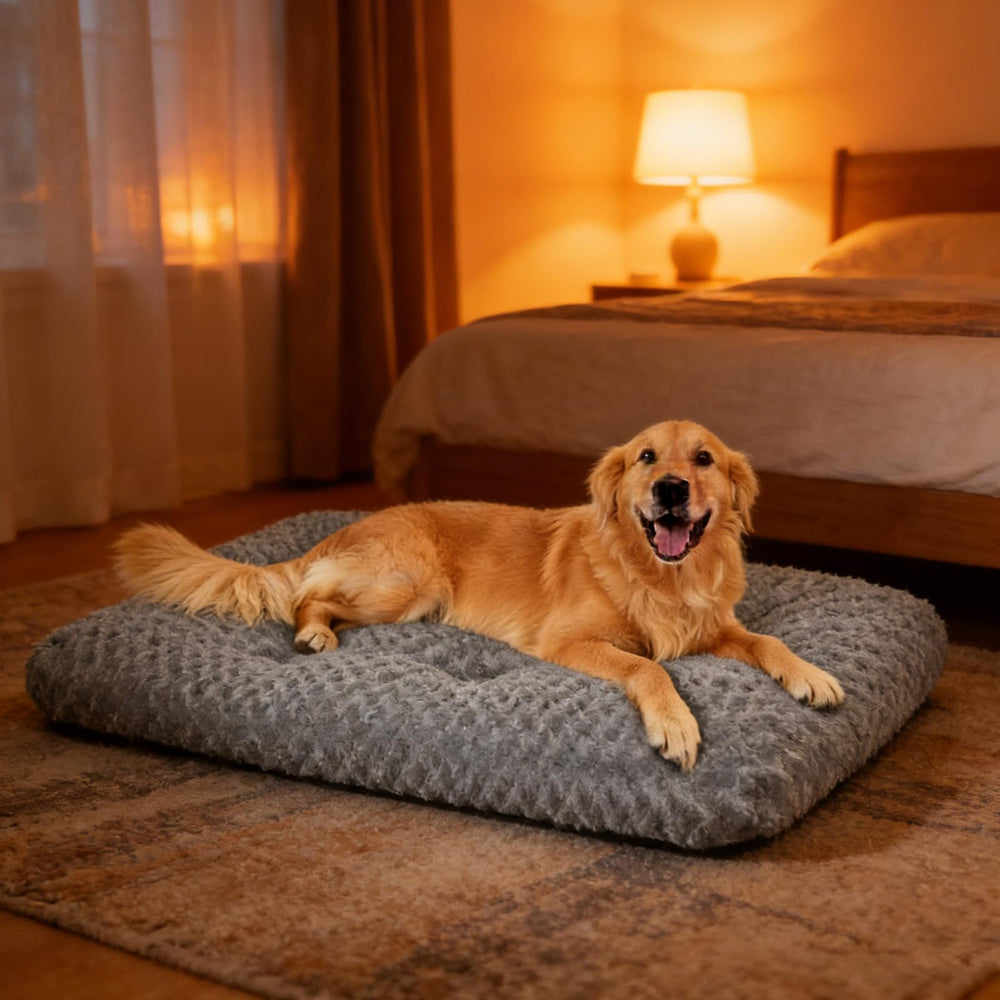 Yintrest Large Dog Bed Deluxe Plush size-guide image illustrating four practical sizes.