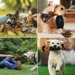 Yipetor training toys help energy burn during fun fetch and tug.