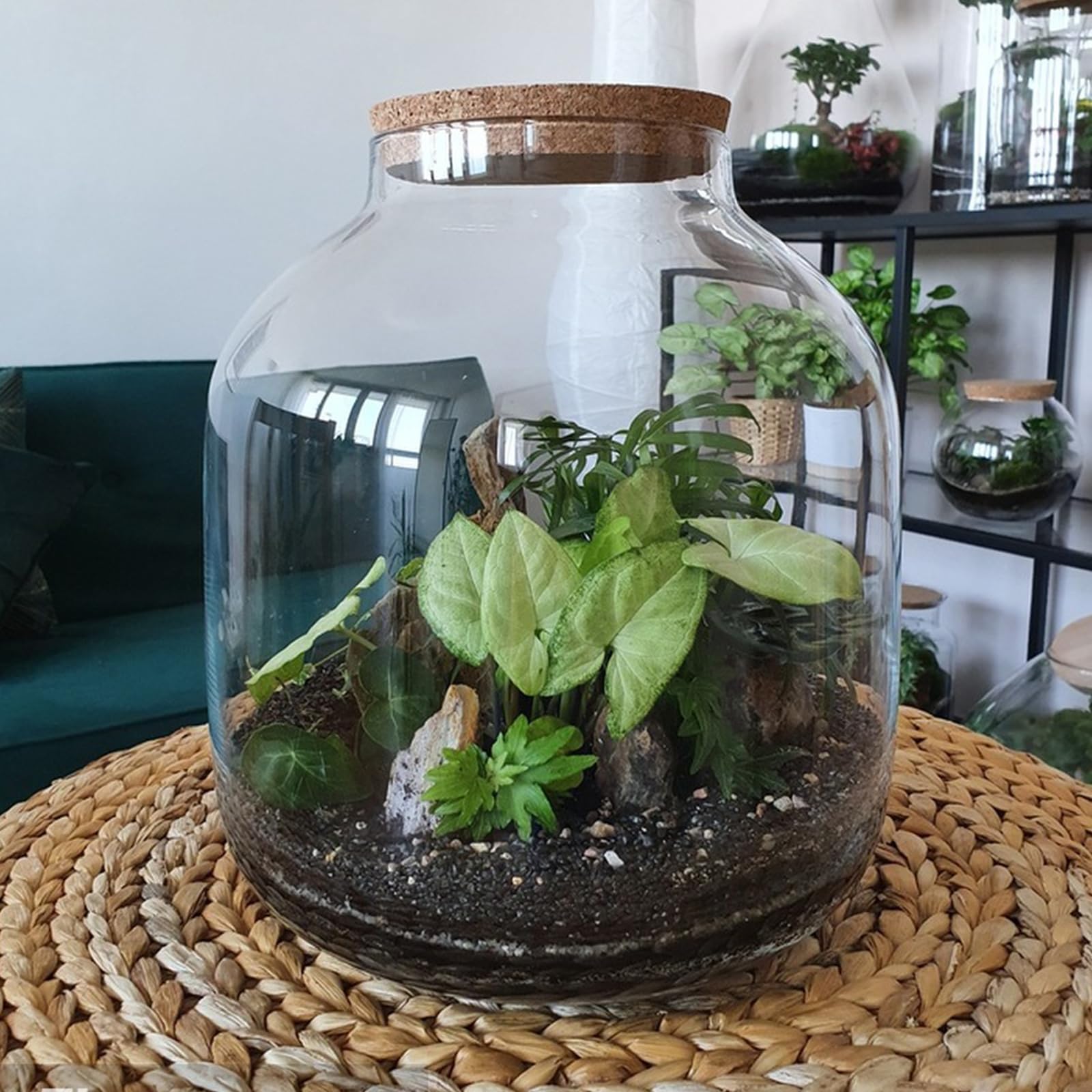 YISZM 2lbs sand in small tank setup showing easy placement