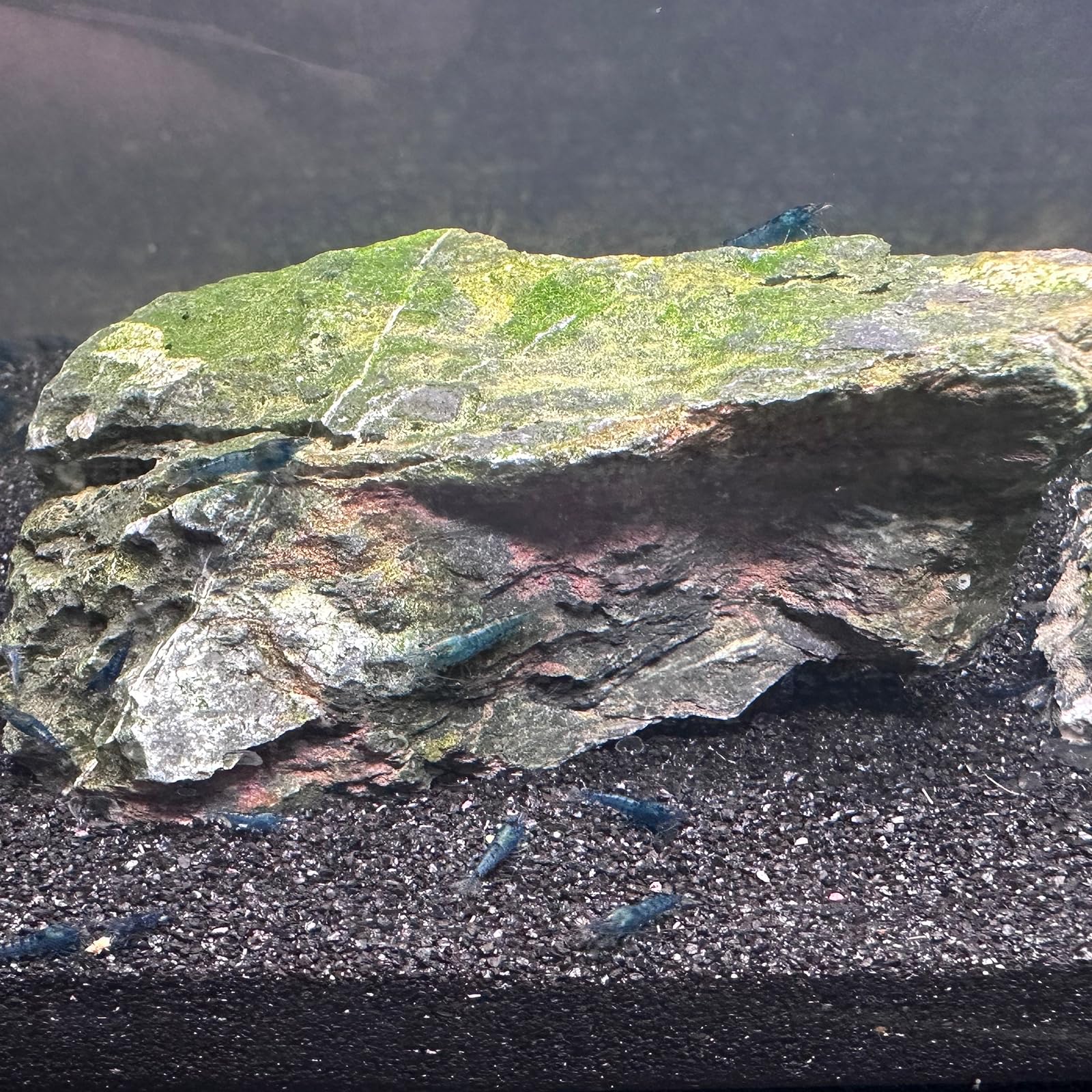 YISZM white aquarium sand in-tank setup with bright contrast