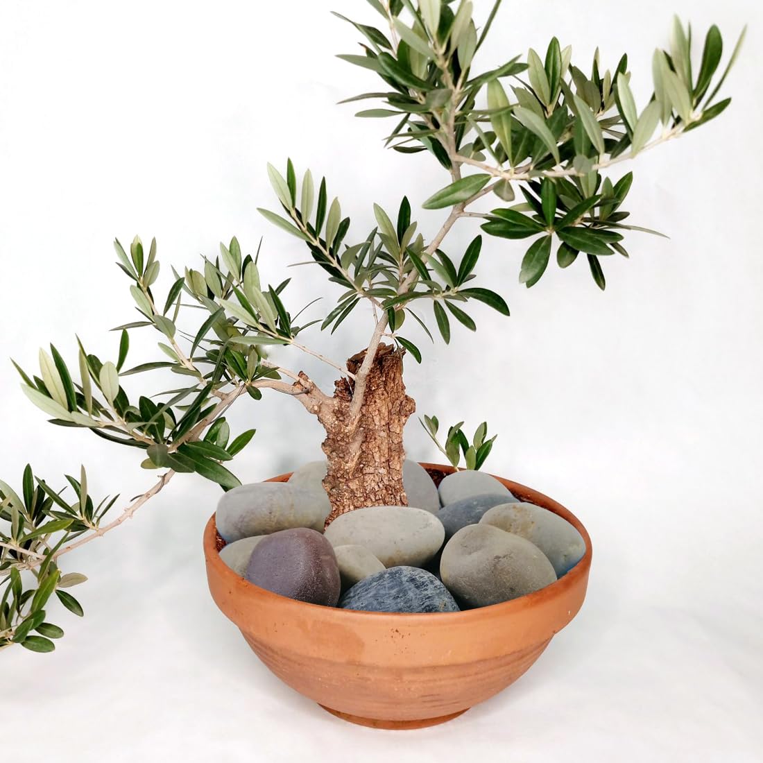 YISZM natural river rocks non-toxic for tank and plant use