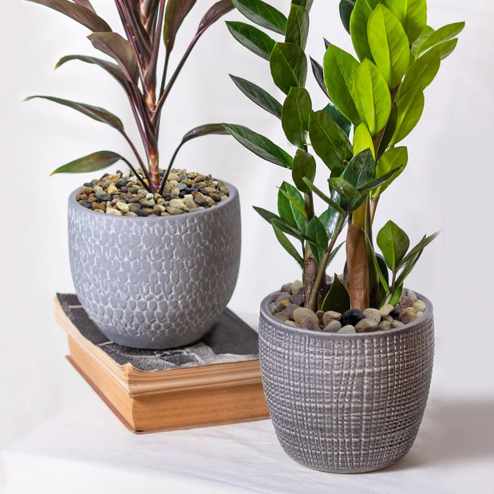 YISZM river rocks for pots aid drainage and prevent soggy soil.
