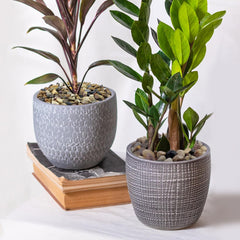 YISZM river rocks for pots aid drainage and prevent soggy soil.