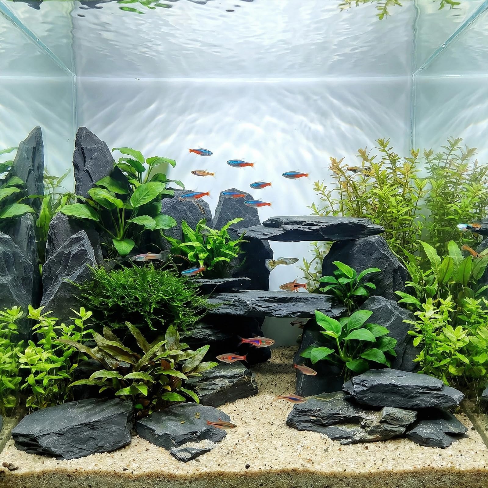 YISZM slate rock 5-7 inch creates dramatic height for aquascapes