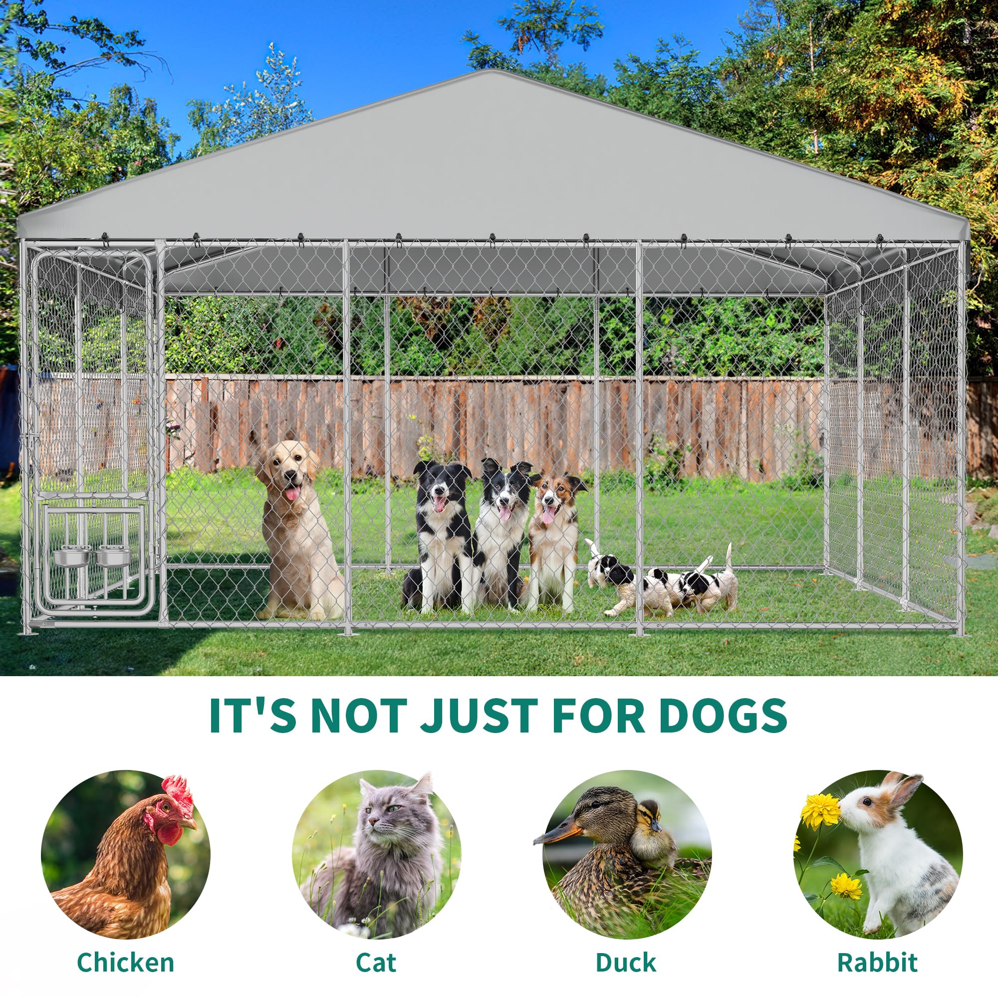 Open-design YITAHOME kennel offering roomy space for pets to explore