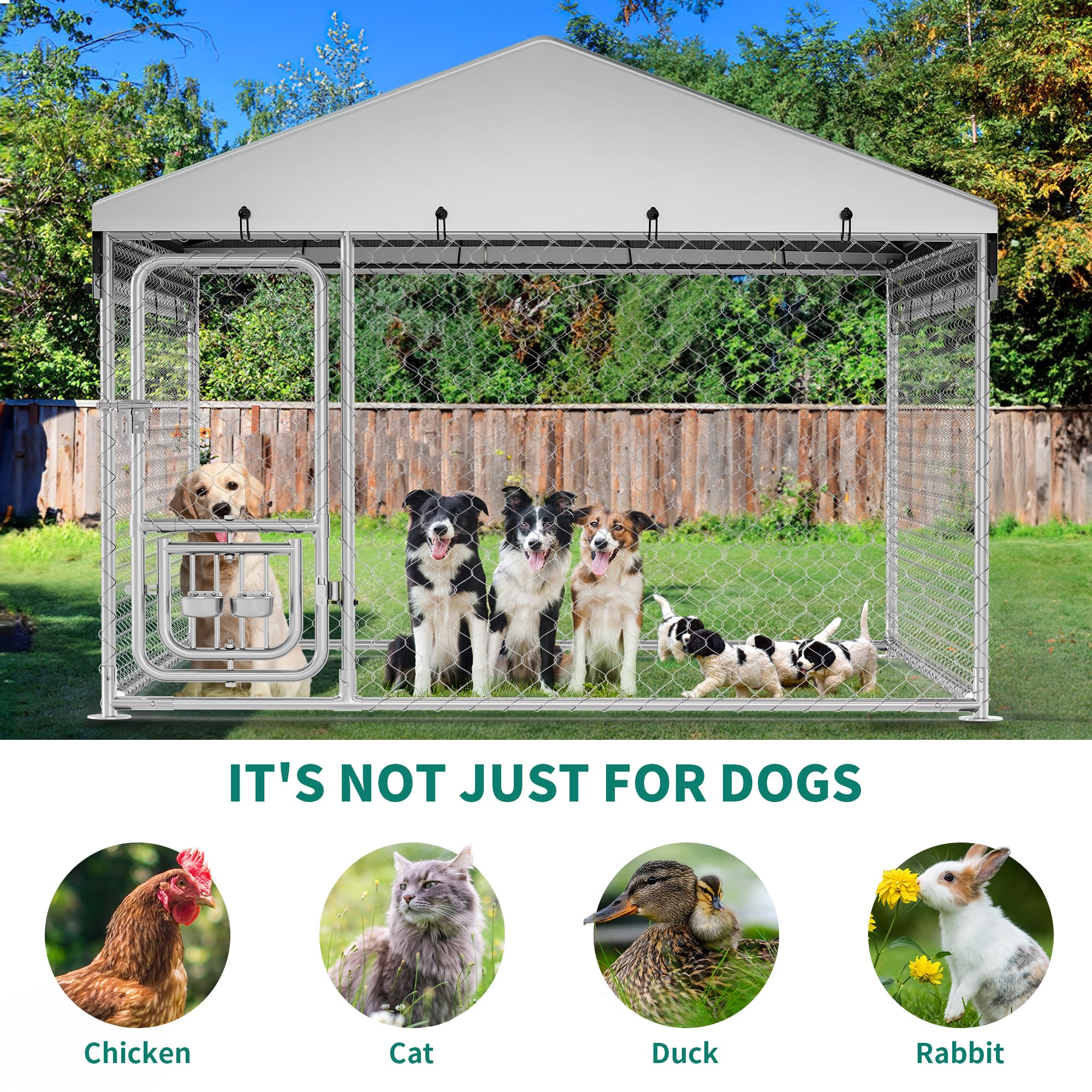 YITAHOME spacious outdoor kennel, versatile for multi-pet homes.
