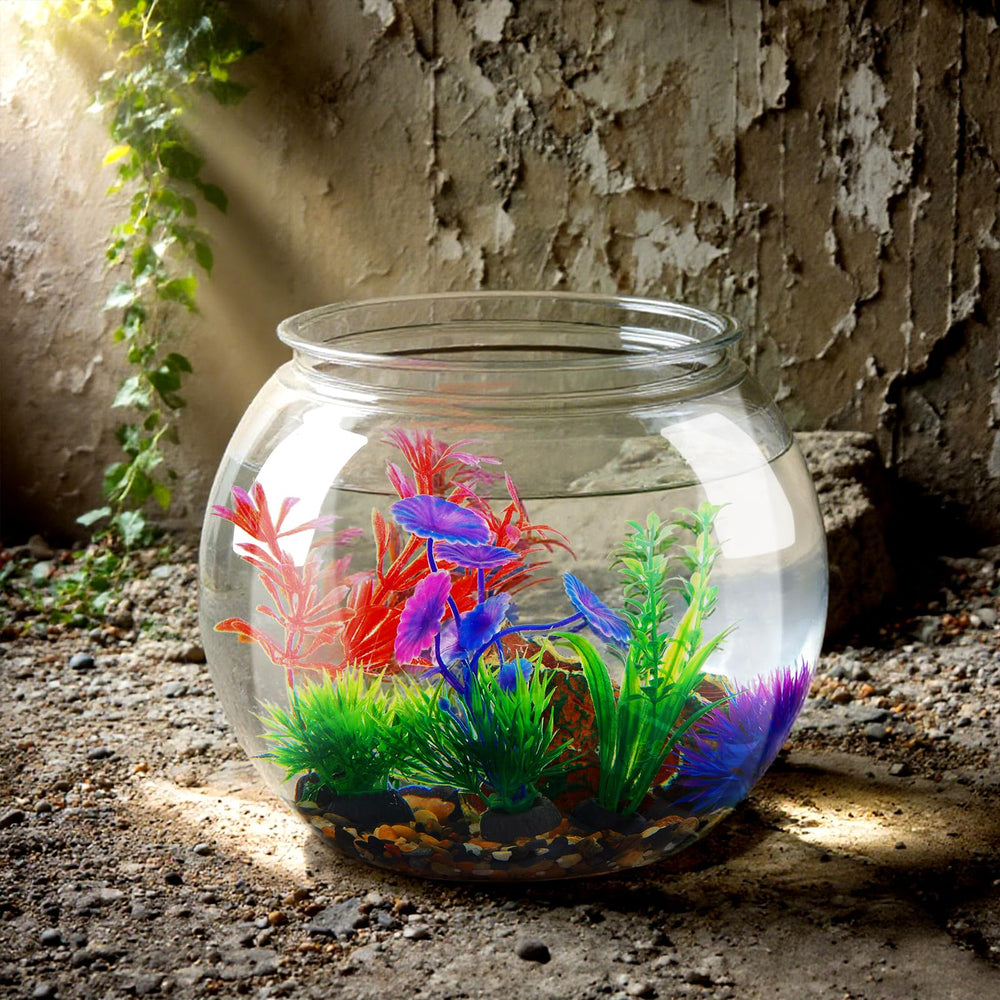 Yiyiring lightweight plastic betta bowl for safe, portable setup
