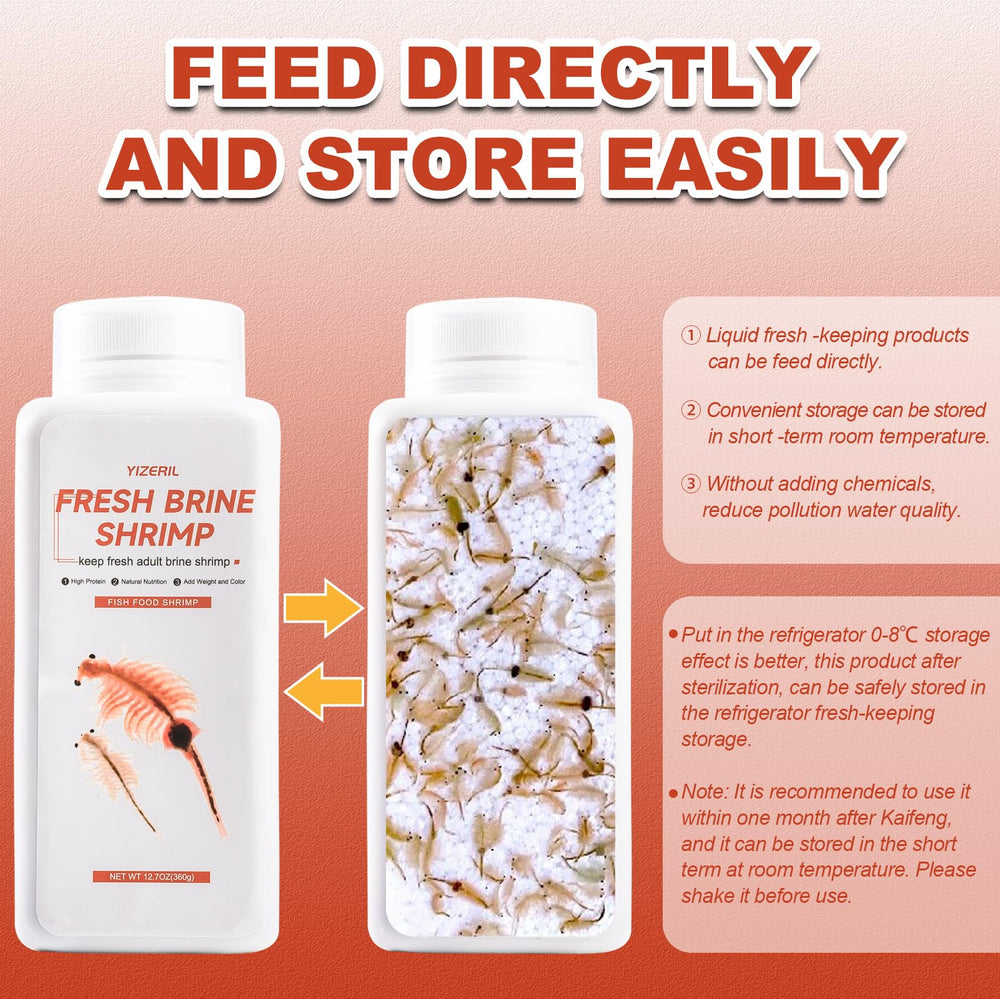 Yizeril brine shrimp feed goldfish in a clear tank.