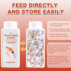 Yizeril brine shrimp feed goldfish in a clear tank.