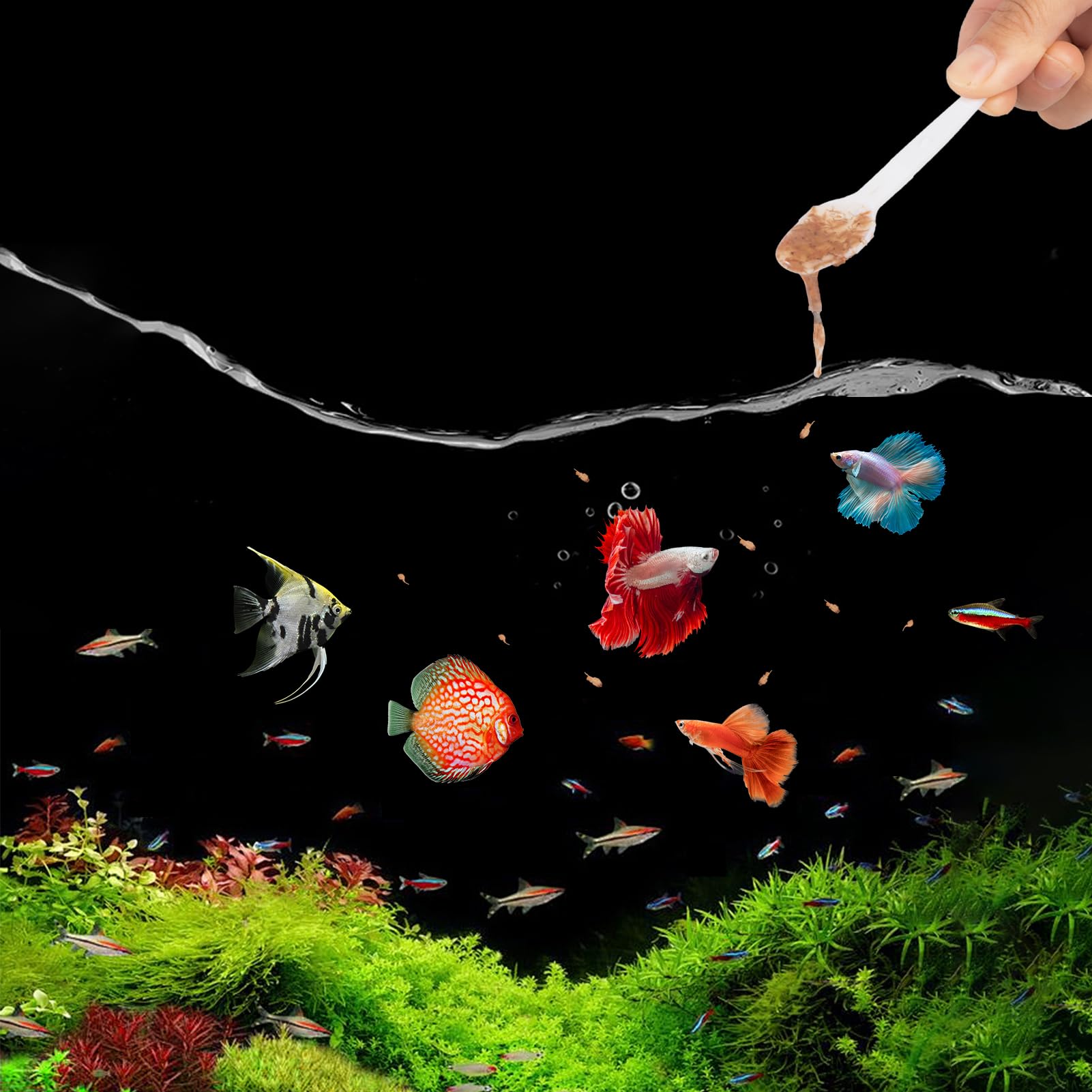 Yizeril brine shrimp nutrition rich formula supports energy.