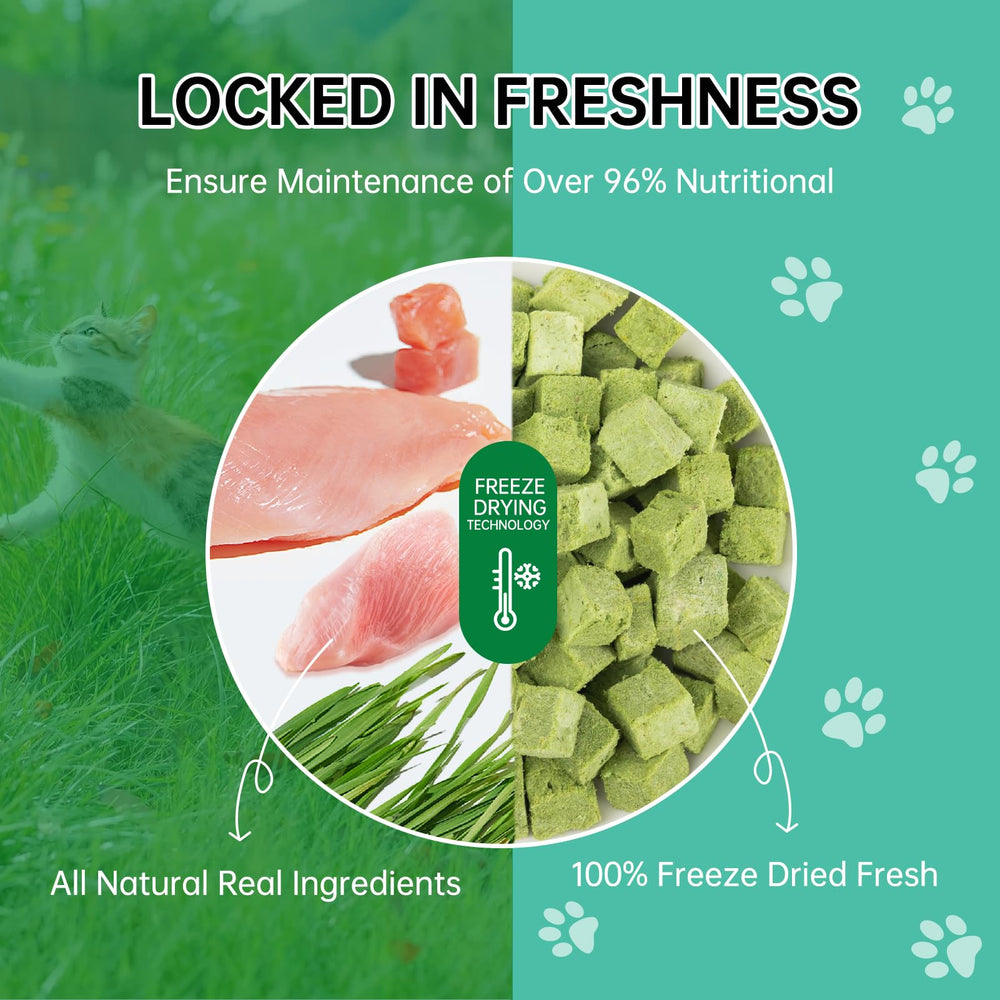 Yizeril 80g cat grass dental treats packaging for indoor cats.
