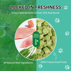 Yizeril 80g cat grass dental treats packaging for indoor cats.