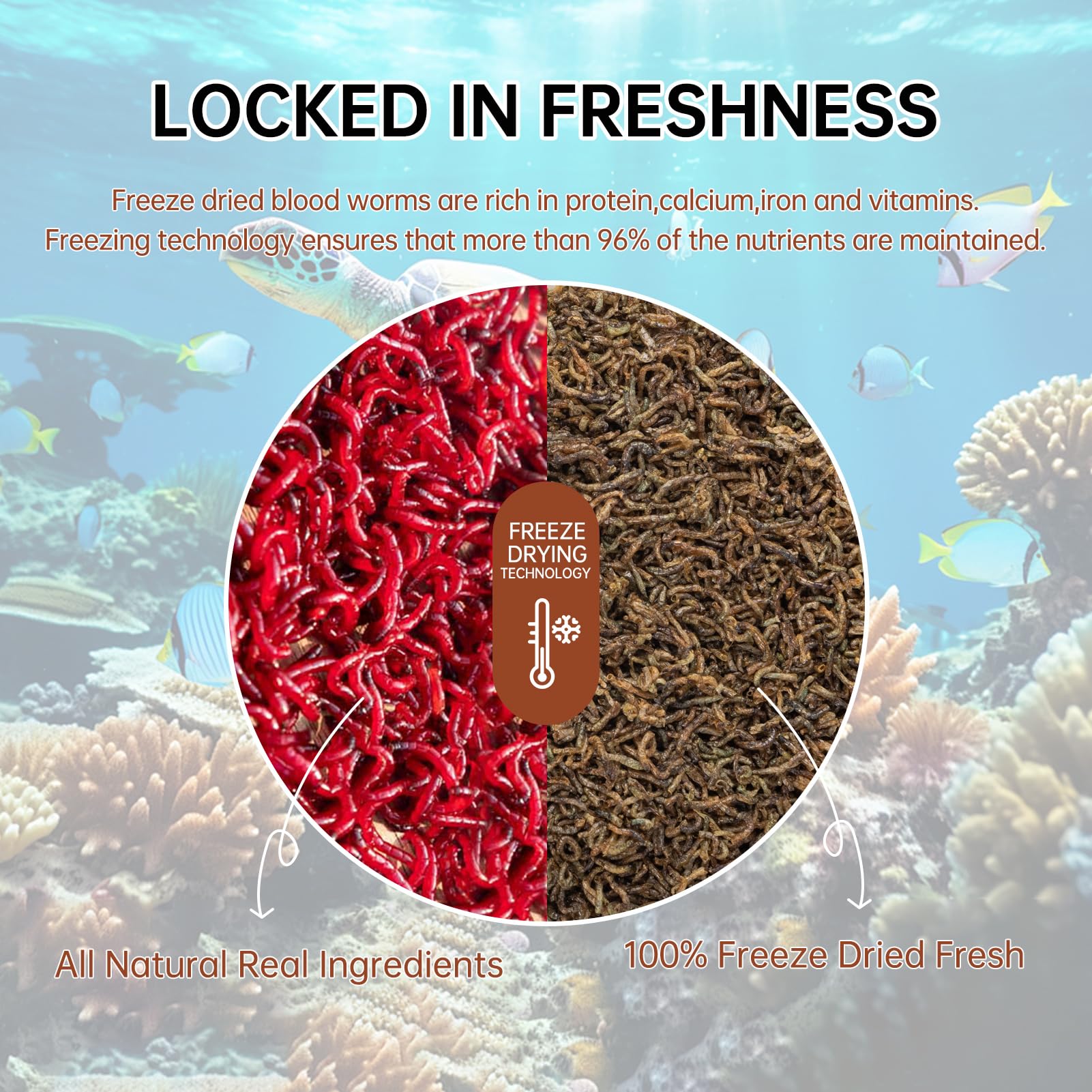 Yizeril close-up of freeze-dried bloodworms showing texture for palatability