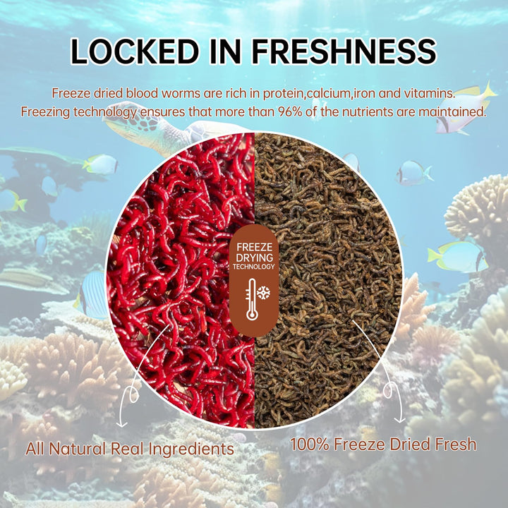 Yizeril close-up of freeze-dried bloodworms showing texture for palatability