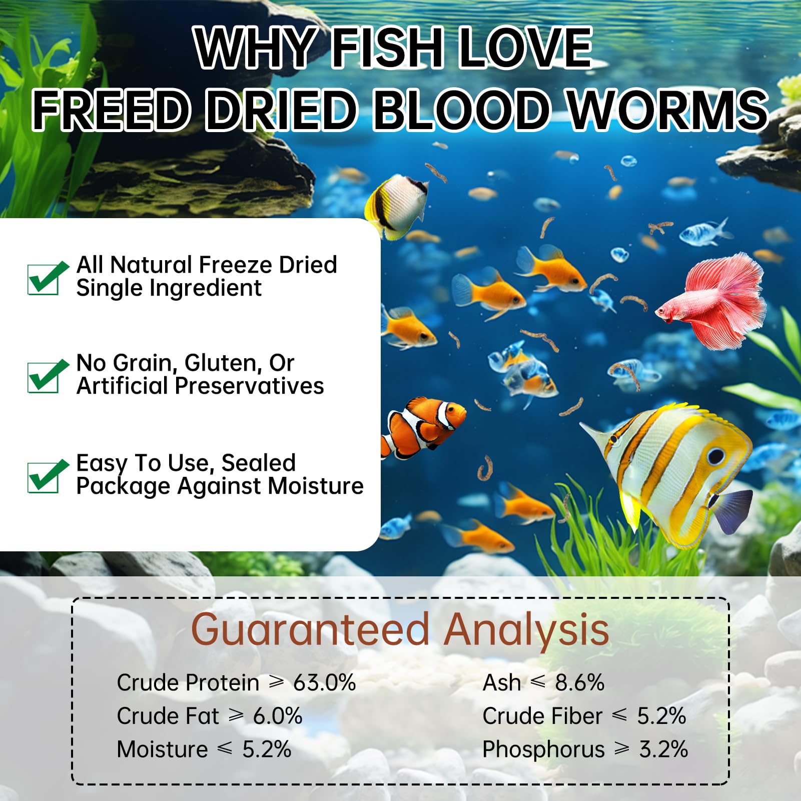 Yizeril bloodworms in tank with fish actively feeding